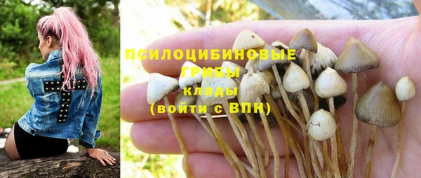 мяу мяу кристалл Кинешма