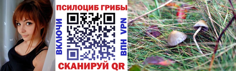 Псилоцибиновые грибы Psilocybe  Нюрба 